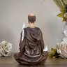 Imagem São Francisco de Assis Meditando 20cm Resina - 7