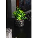 Ver imagem 4 de Cachepot de Cimento com Planta Artificial Prisma Preto 10cm X 29cm