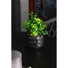 Cachepot de Cimento com Planta Artificial Prisma Preto 10cm X 29cm - 4