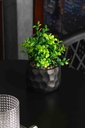 Ver imagem 4 de Cachepot de Cimento com Planta Artificial Prisma Preto 10cm x 29cm | Casa Del Grande