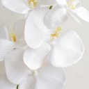 Ver imagem 3 de Arranjo de Orquídea Branca Artificial no Vaso de Vidro Achatado | Arranjos Formosinha