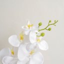 Ver imagem 2 de Arranjo de Orquídea Branca Artificial no Vaso de Vidro Achatado | Arranjos Formosinha