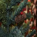 Ver imagem 3 de Árvore de Natal Berry 150cm 460 Galhos | Natal Formosinha
