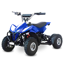 Adv Mini Quadriciclo 49cc Xw-a22 - 1