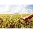 Ver imagem 2 de Foicinha com Dentes Tramontina em Aço com Cabo de Madeira Tramontina