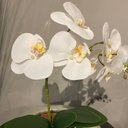 Ver imagem 2 de Arranjo Centro de Mesa Orquídea Branca Artificial Vaso Espelhado