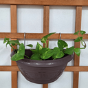 Ver imagem 5 de 10 Ganchos Pendurar Vasos de Plantas em Jardim Vertical 2x8