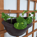 Ver imagem 4 de 10 Ganchos Pendurar Vasos de Plantas em Jardim Vertical 2x8