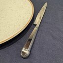 Ver imagem 5 de Jogo 100 Facas Jumbo de Churrasco 25cm Aço Inox Prateada Restaurante Mesa Jantar