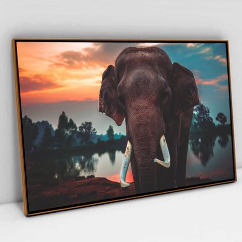 Quadro Decorativo em Canvas Elefante na Natureza TaColado Moldura Flutuante 4,5cm Freijó 120 x 80cm