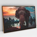 Ver imagem 1 de Quadro Decorativo em Canvas Elefante na Natureza TaColado Moldura Flutuante 4,5cm Freijó 120 x 80cm