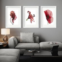 Kit 3 Quadros Grandes Flores Marsala - 60x48cm:moldura Branca - 2