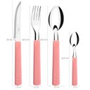 Ver imagem 3 de Faqueiro 20 Peças Com Pote Plástico Jogo De Talheres Aço Inox Com Cabos Rosa Pastel