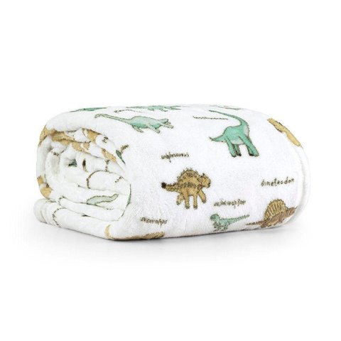 Manta Estampada Infantil Tutti Kids Solteiro 01 Peça 100% Poliéster - Dino Word