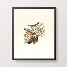 Quadro Passarinhos 24x18cm - com vidro:Madeira preta - 1