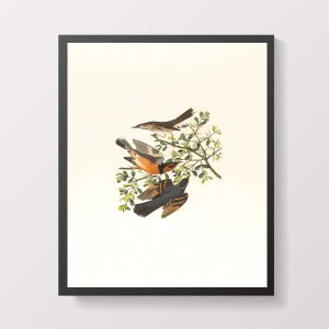 Quadro Passarinhos 24x18cm - com vidro:Madeira preta