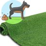 Tapete Grama Sintetico Higienico Pet Cachorro Gramado Sanitario Lavavel 1 Metro Quadrado Economico R - 1