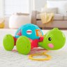 Empurra Tartaruga Fisher Price - 3