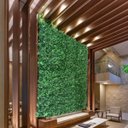 Ver imagem 5 de 21 Módulos de Planta Samambaia para Parede em Jardim Vertical Interno com Folhagens de Qualidade