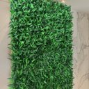 Ver imagem 7 de 21 Módulos de Planta Samambaia para Parede em Jardim Vertical Interno com Folhagens de Qualidade