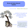 Árvore de Pedra Natural Sodalita Presente e Decoração - 4