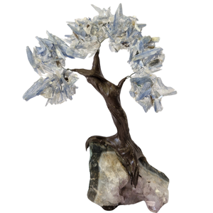 Árvore de Pedra Natural Sodalita Presente e Decoração