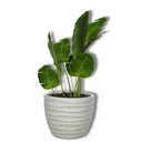 Ver imagem 4 de Vaso Cliff 33 (17l) Cor Cimento Japi