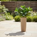 Ver imagem 3 de Vaso Alto Decorado Grego Tramontina Areia Plantas Folhagens 80cm Jardim Varanda Quintal