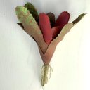 Ver imagem 6 de Kit 4 Pçs Bromélia Planta Artificial Elegante 8 Folhas 21cm