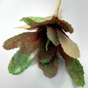 Ver imagem 4 de Kit 4 Pçs Bromélia Planta Artificial Elegante 8 Folhas 21cm