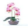 Arranjo 2 Orquídeas Artificiais Rosa em Ikebana De Vidro Lari - 1
