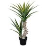 Arvore Permanente Folhagem Yucca X2 no Pote Verde - 1
