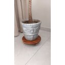 Ver imagem 7 de Suporte para Vaso de Planta Redondo Rodinhas Silicone 35cm