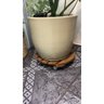 Suporte para Vaso de Planta Redondo Rodinhas Silicone 35cm - 9