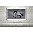 Ver imagem 1 de Quadro Decorativo Cavalo Luz Preto e Branco - 70x50cm:moldura Preta