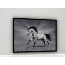 Ver imagem 2 de Quadro Decorativo Cavalo Luz Preto e Branco - 70x50cm:moldura Preta