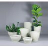 Vaso Lótus Fosco 57x28cm - 3