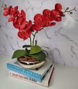 Ver imagem 3 de Arranjo Com 2 Orquídeas Vermelha Vaso Dourado 22cm
