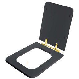 Assento Sanitario Poliester Square Ambar (cinza Escuro) Para Vaso Incepa Cidamar Com Ferragem - 2
