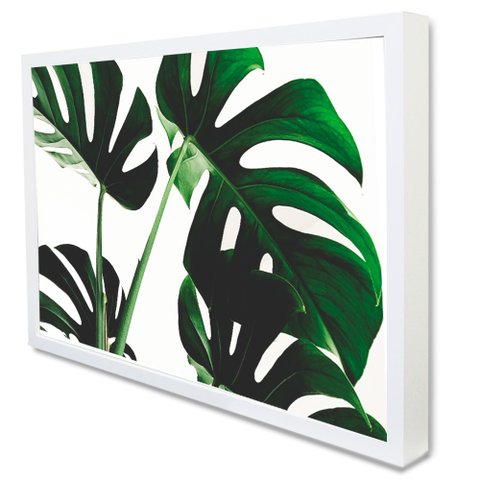 Quadro Decorativo Floral Folhas em Moldura Caixa Tacolado Moldura Caixa 3cm Branca sem Vidro 20 X 30