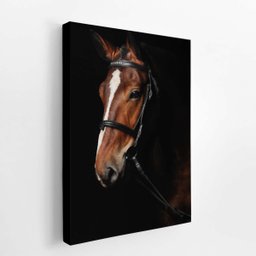 Cavalo Animais Fotografia Fundo Preto Quadro Canvas 140x90cm - 2