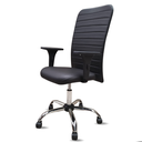 Ver imagem 1 de Cadeira Escritório Presidente Executiva Ergonômica Apoio Lombar Nr17 Giratória Costura Esteirinha