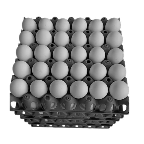 Kit 5 Porta Ovo Cartela Plástica P/30 Ovos Bandeja Higiênica:preto
