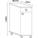Ver imagem 2 de Balcão Auxiliar Móvel Bianca 1 Porta 1 Gaveta Castanho/Branco