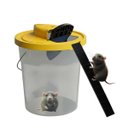 Ver imagem 2 de Ratoeira Armadilha Kit 2 Pega Rato Controle de Praga Gaiola Reutilizavel Roedor Camundongo Casa Quin
