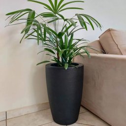 Vaso Grafiato Cônico 29 (5l) Preto Nutriplan - 6