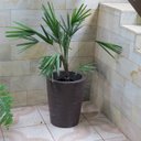 Ver imagem 3 de Kit 4 Vaso Planta 50x40 Redondo Cônico Polietileno BGPLASTICOS AREIA 001