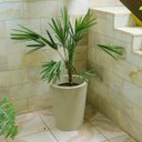 Ver imagem 4 de Kit 4 Vaso Planta 50x40 Redondo Cônico Polietileno BGPLASTICOS AREIA 001