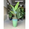 Vaso Grande para Planta para Decoração Sala Varanda Jardim (liso/verde-agua) - 5