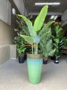 Ver imagem 5 de Vaso Grande para Planta para Decoração Sala Varanda Jardim (liso/verde-agua)